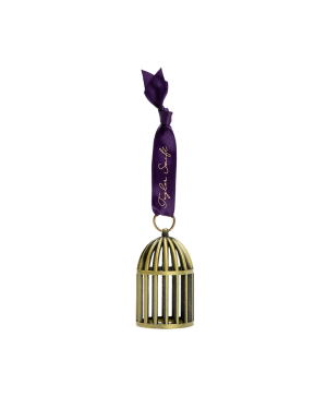 Speak Now (Taylor’s Version) Bird Cage Ornament